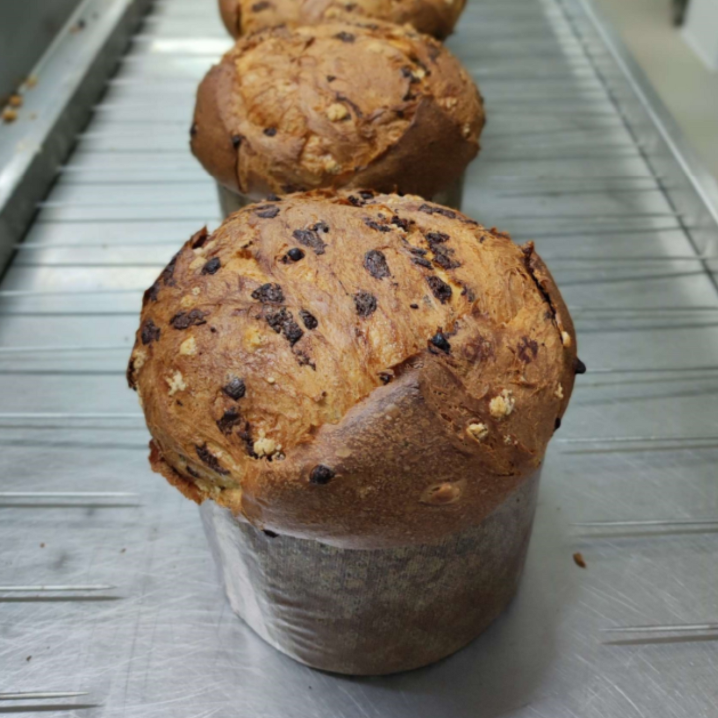 Panettone